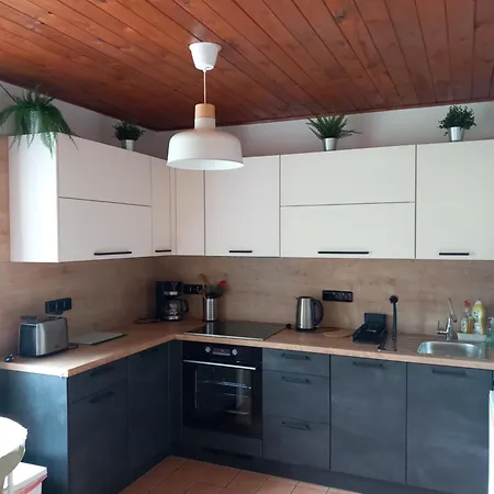 Guest house U Sochoru