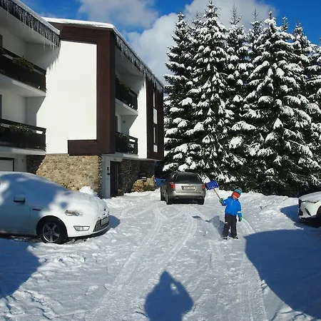U Sochoru Guest house Pec pod Snezkou