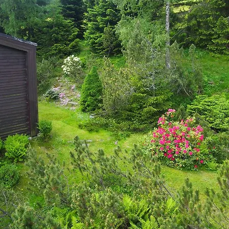 U Sochoru Guest house Pec pod Snezkou