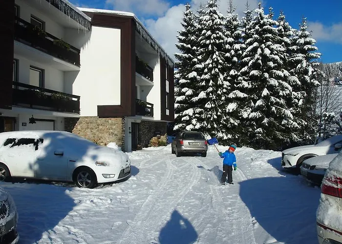 U Sochoru Pensión Pec pod Sněžkou